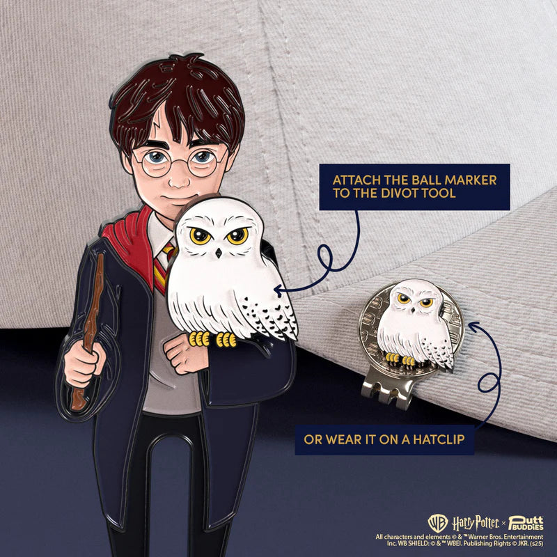 Harry Potter & Hedwig