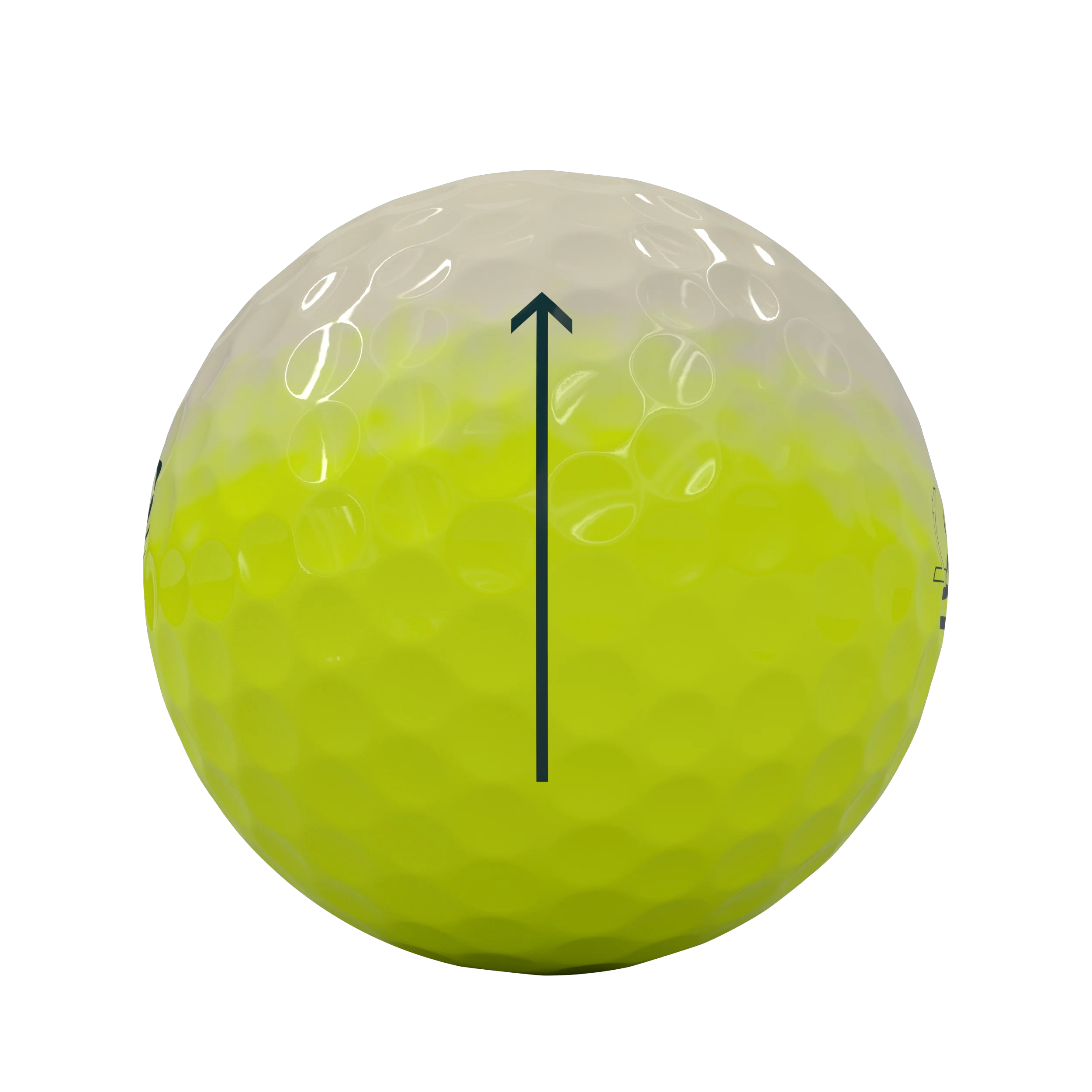 Vice Pro Archive Edition